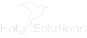 Holy Solutions
